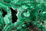 Flowery Polished Malachite Specimen - DR Congo #360796-1